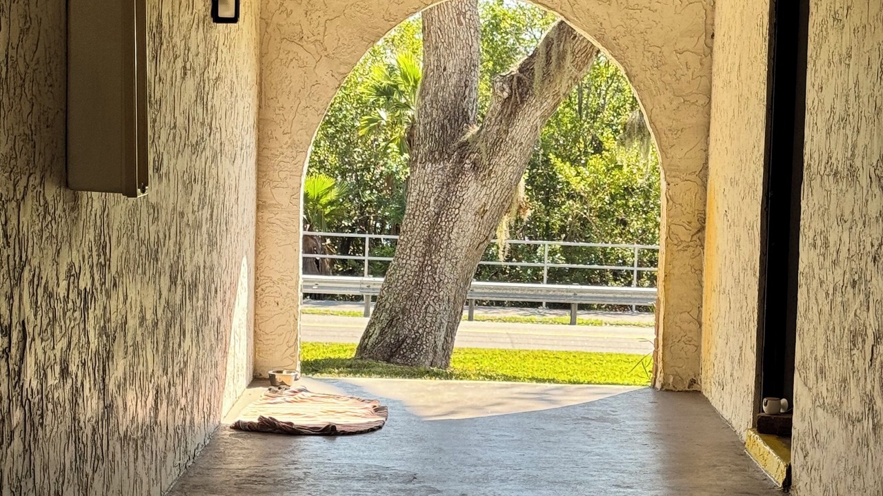 Photo of Others in Clearwater