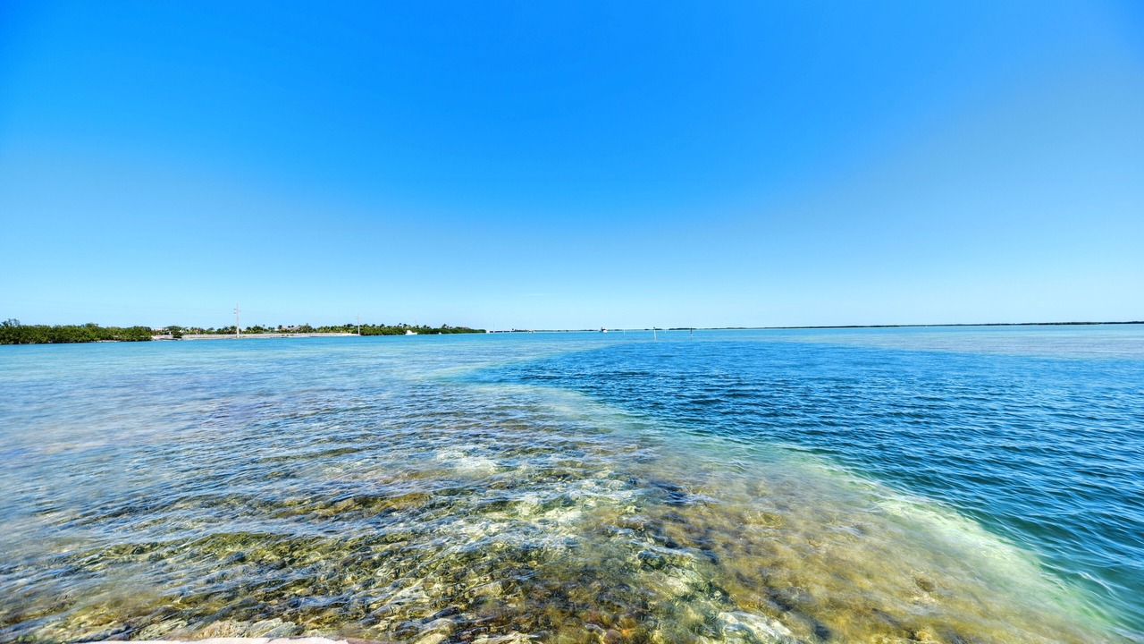 Photo of Others in Big Coppitt Key