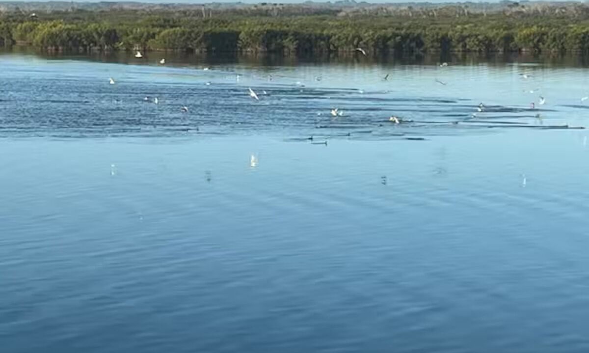 Photo of Others in Bethune Beach