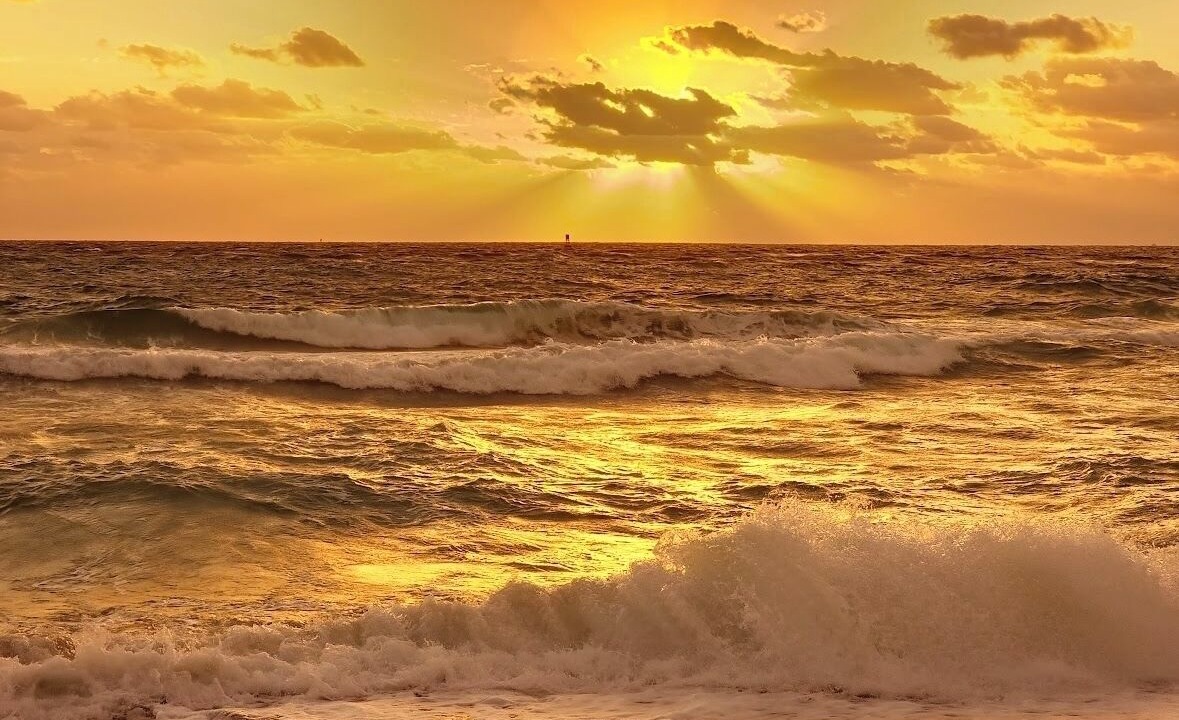 Photo of Others in Riviera Beach