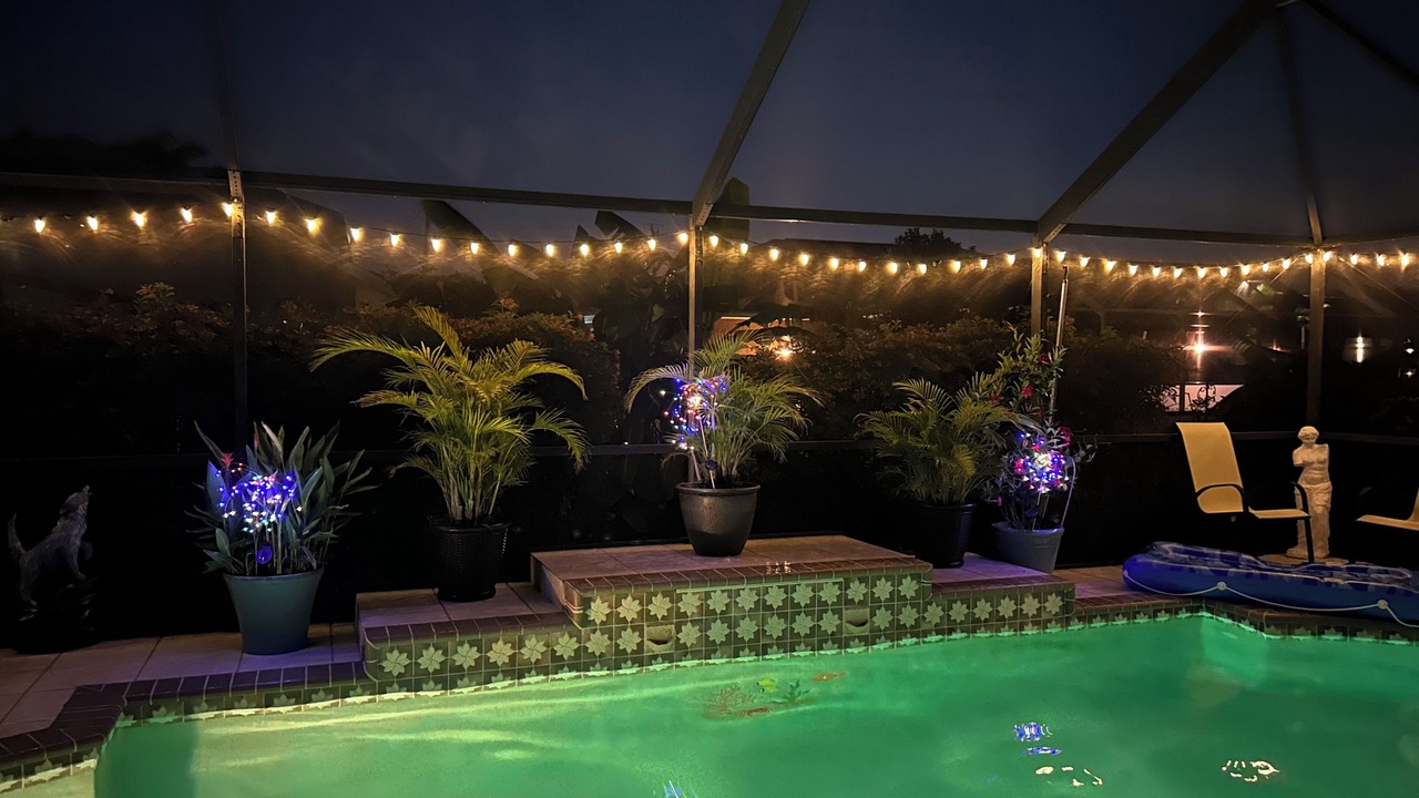 Photo of Outdoor in Pelican