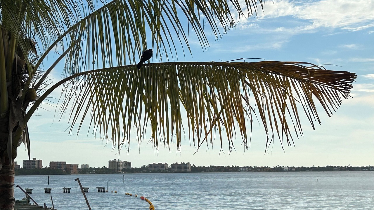 Photo of Others in Pelican