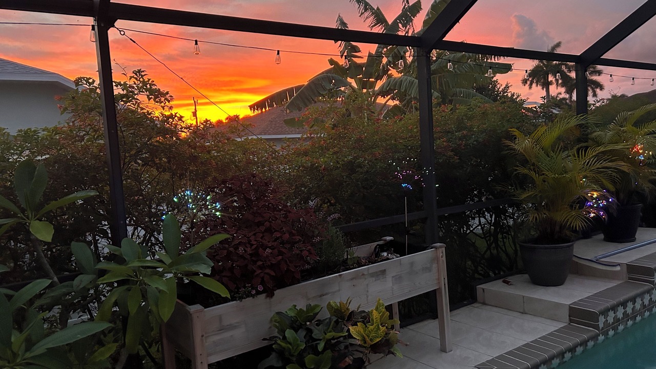 Photo of Outdoor in Pelican