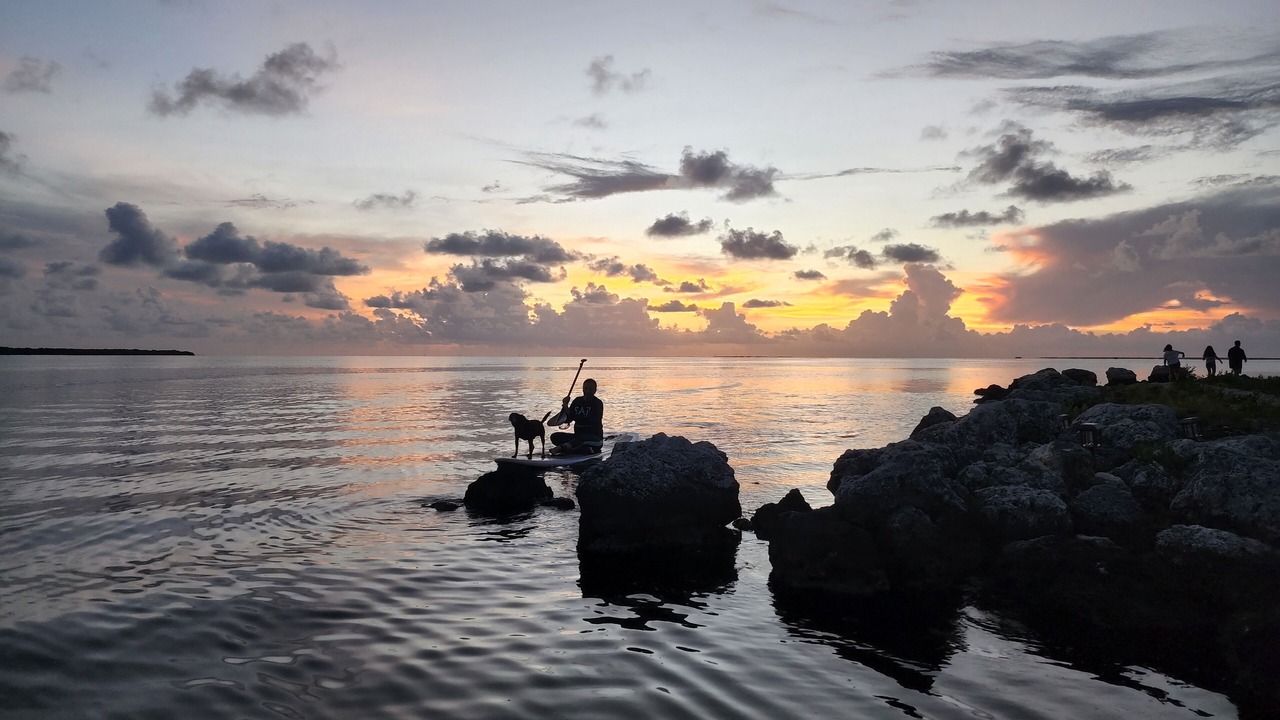 Photo of Others in Tavernier