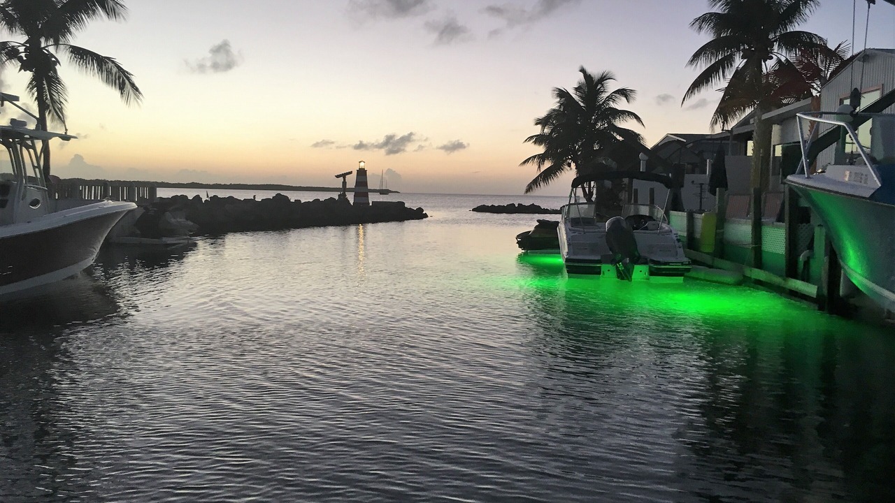 Photo of Others in Tavernier