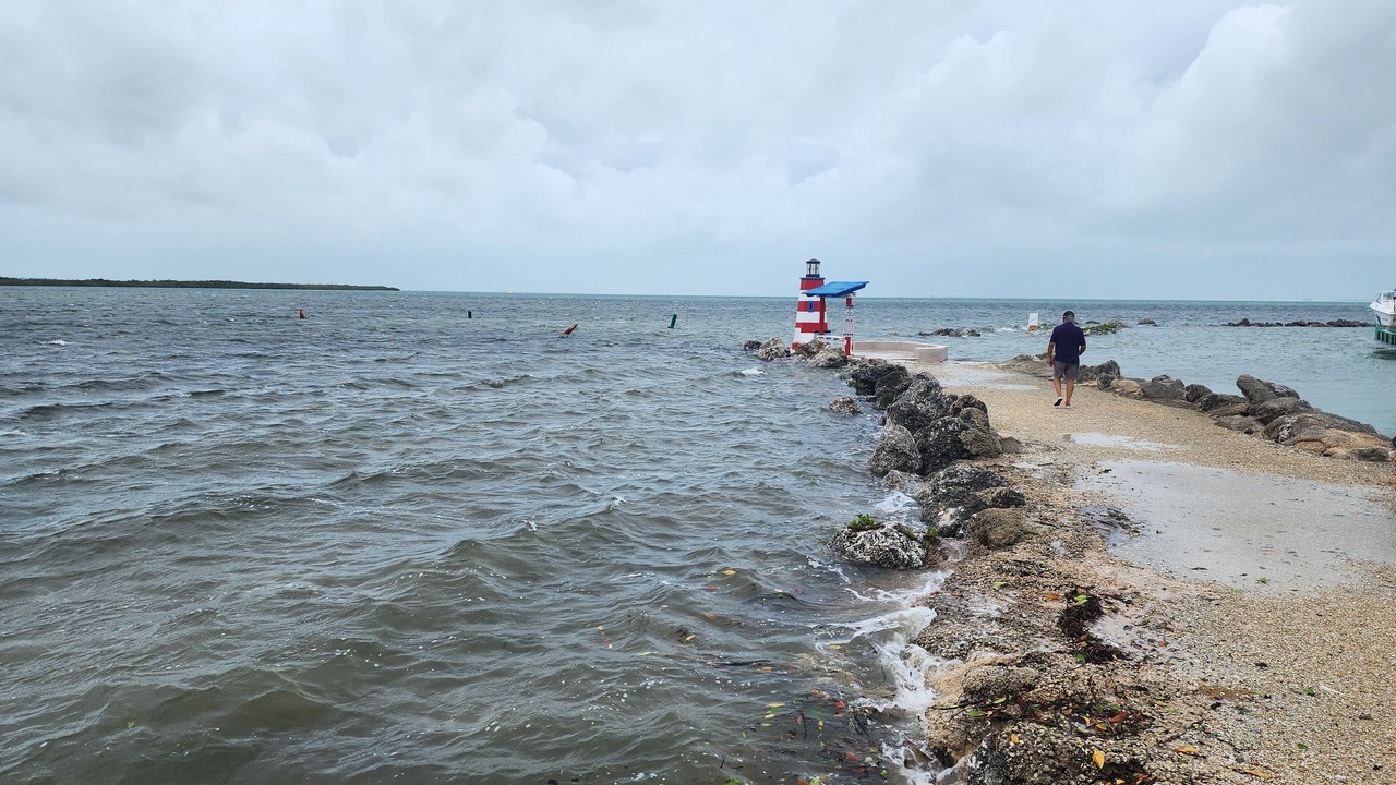 Photo of Others in Tavernier