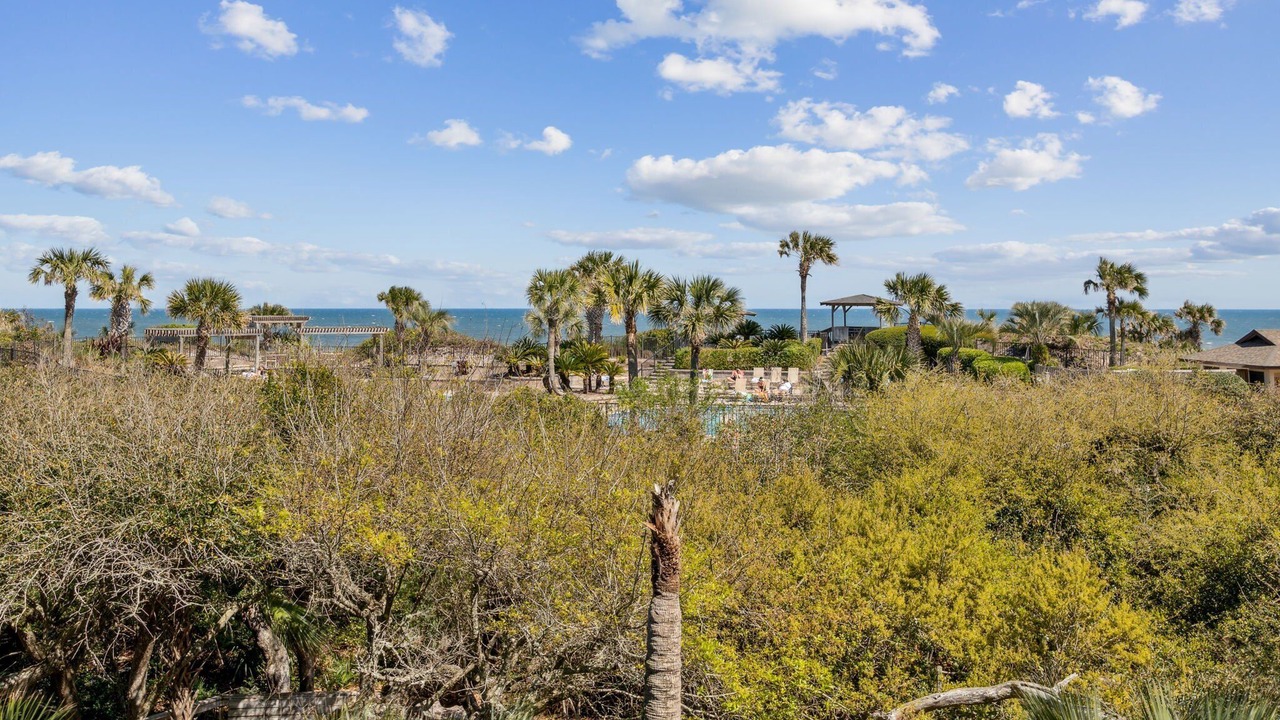 Photo of Others in Fernandina Beach