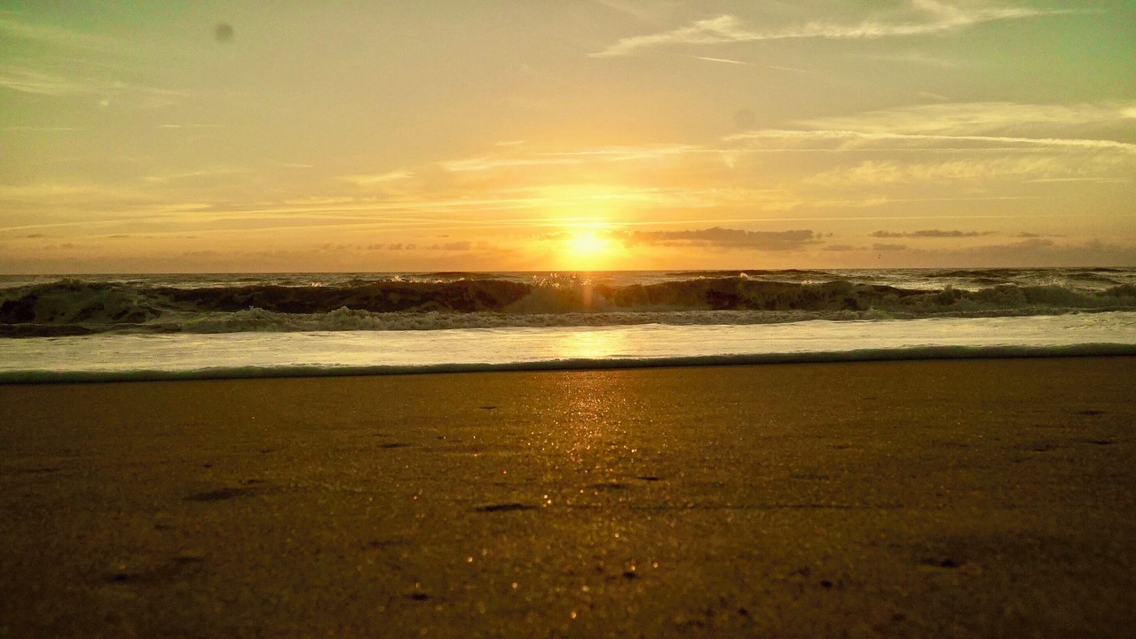 Photo of Others in Atlantic Shores