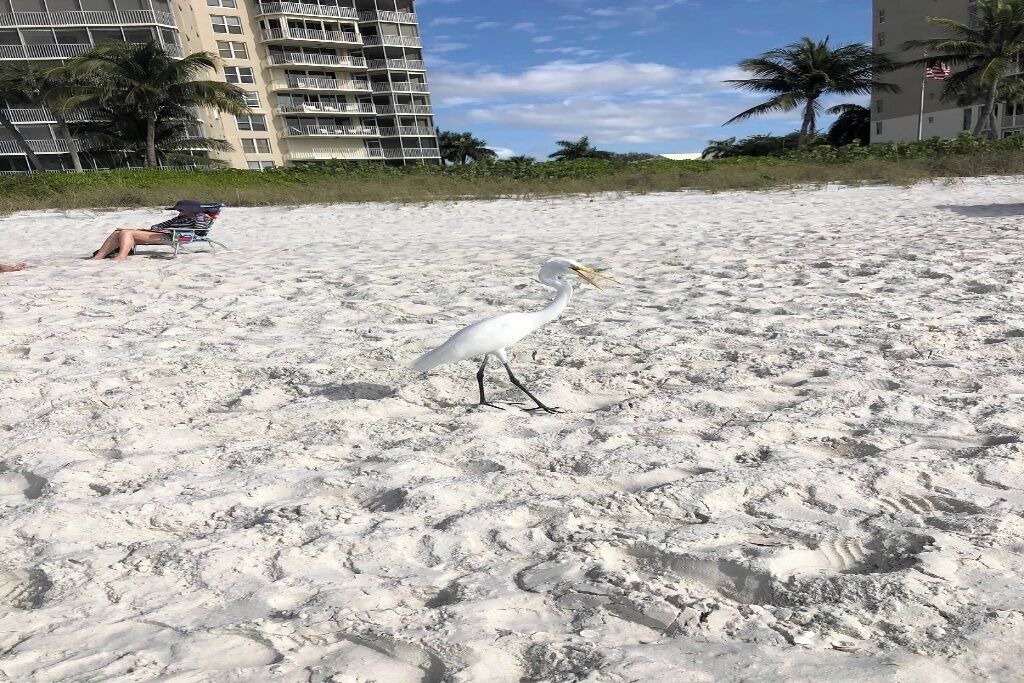 Photo of Others in Vanderbilt Beach