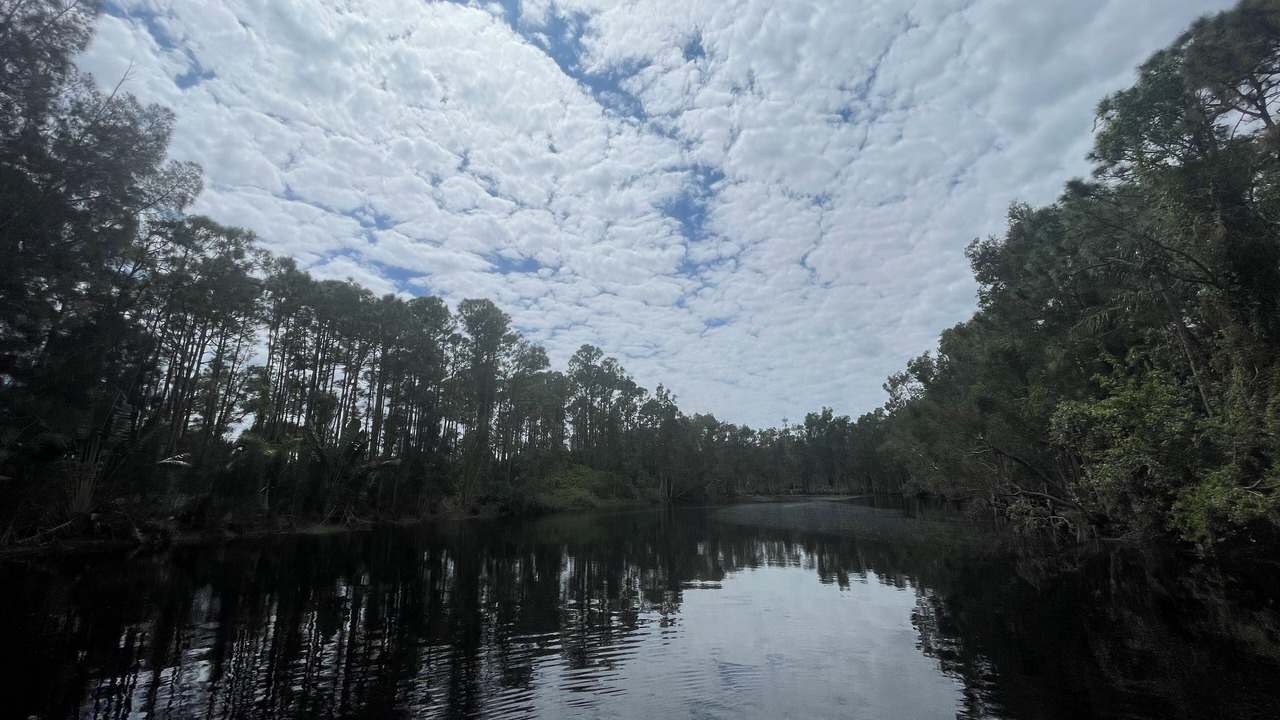 Photo of Others in Port Saint Lucie