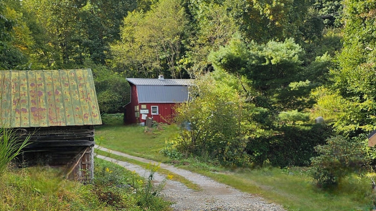 Photo of Others in St. Johns