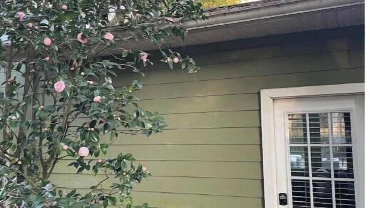 Photo of Outdoor in Killearn Estates