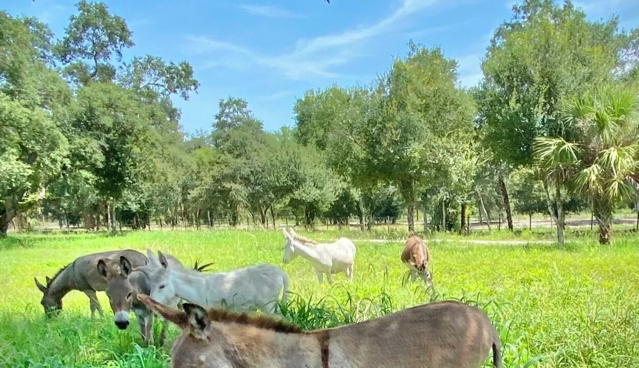Photo of Others in Clewiston