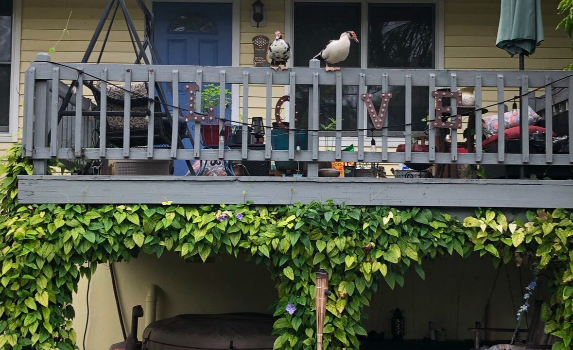 Photo of Outdoor in Jupiter Farms