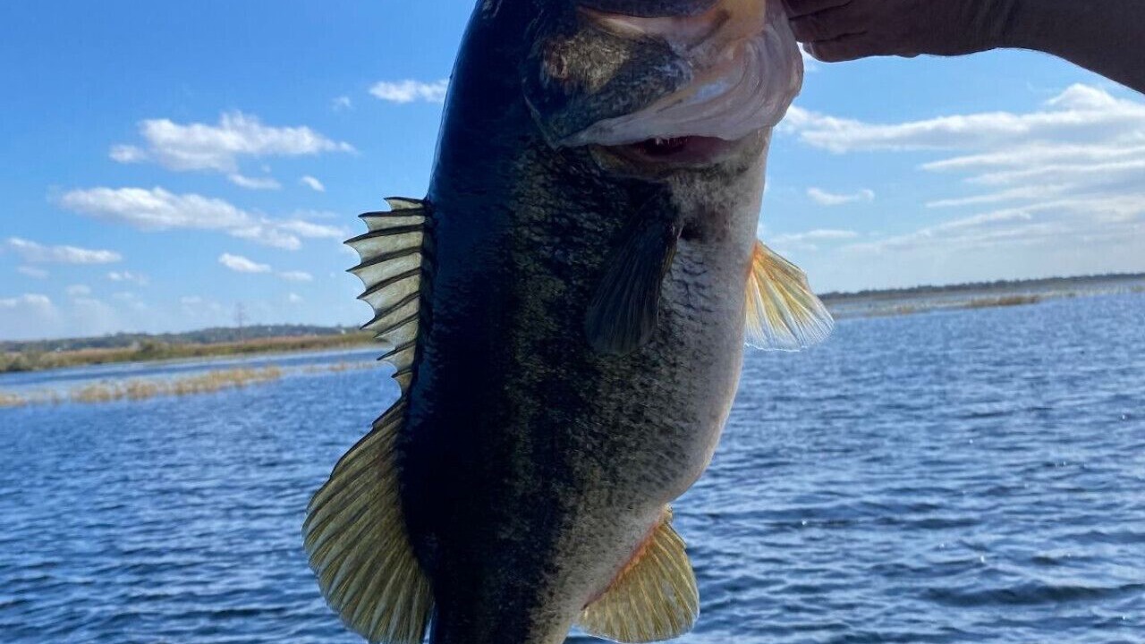 Photo of Others in Crooked Lake