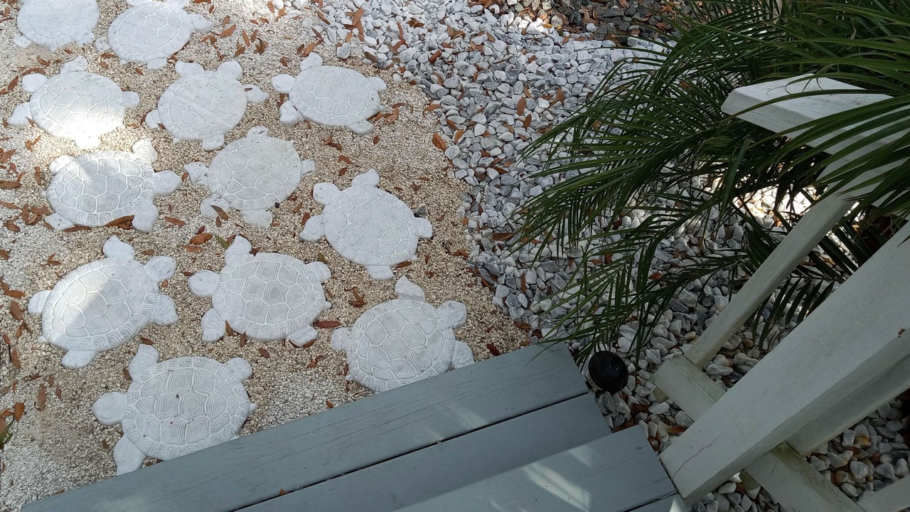 Photo of Outdoor in Salt Springs