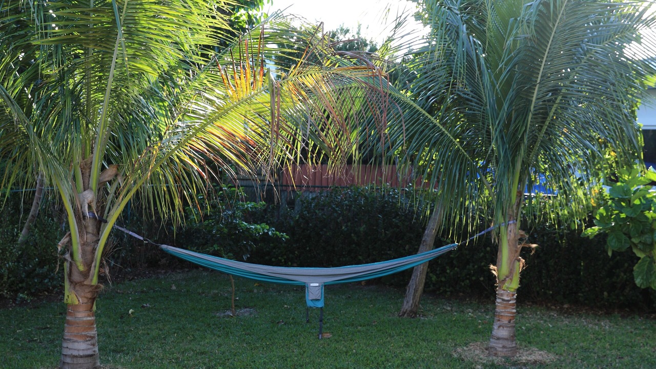 Photo of Outdoor in Surfside
