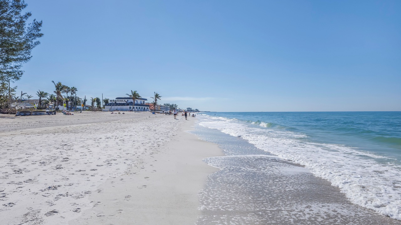 Photo of Others in Whitney Beach