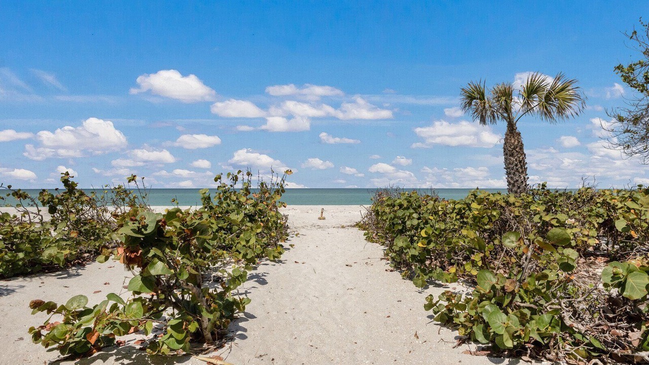 Photo of Others in Boca Grande