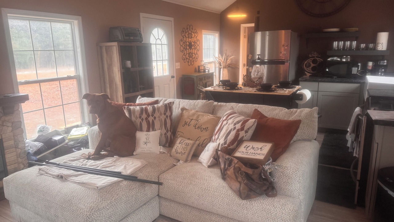 Photo of Livingroom in Mount Pleasant