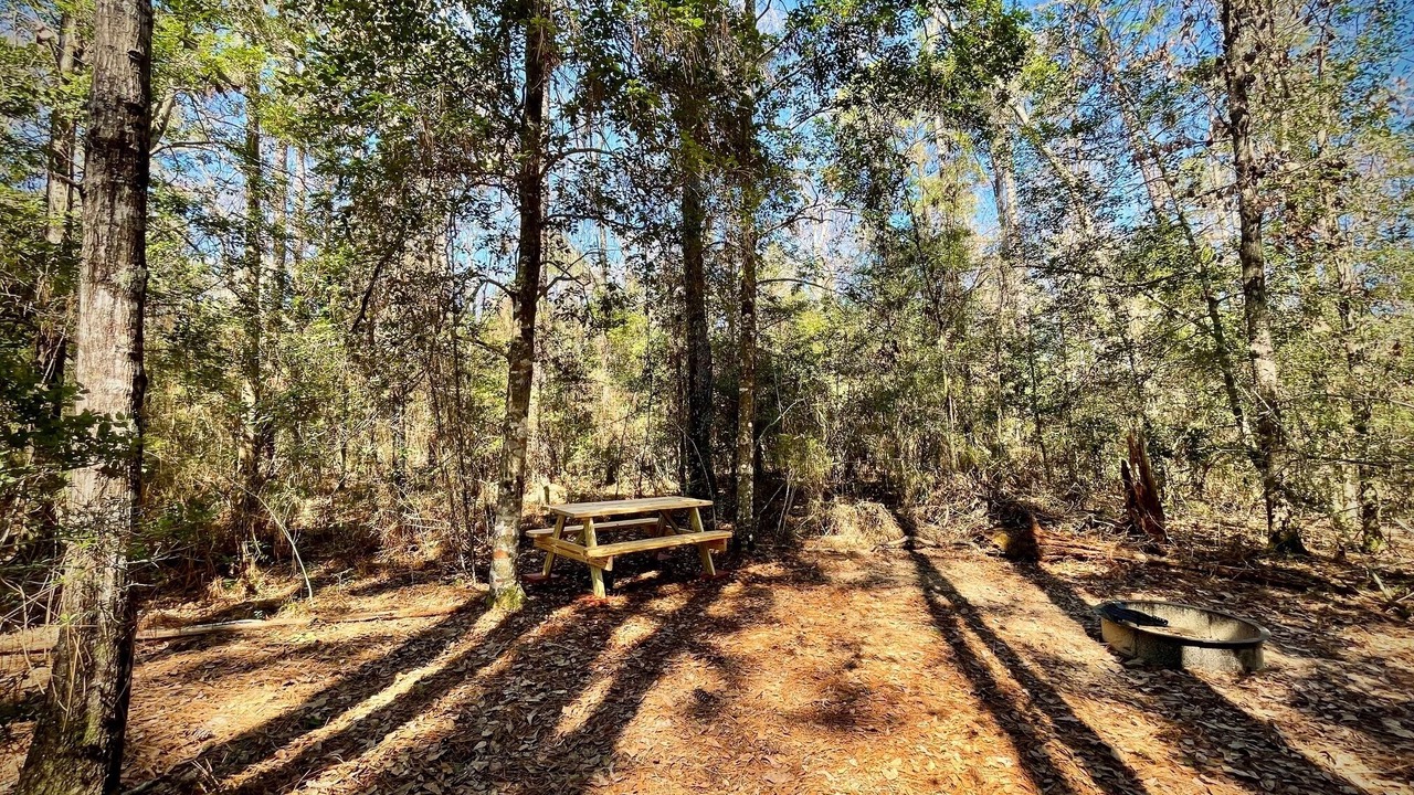 Photo of Others in Florida Panhandle