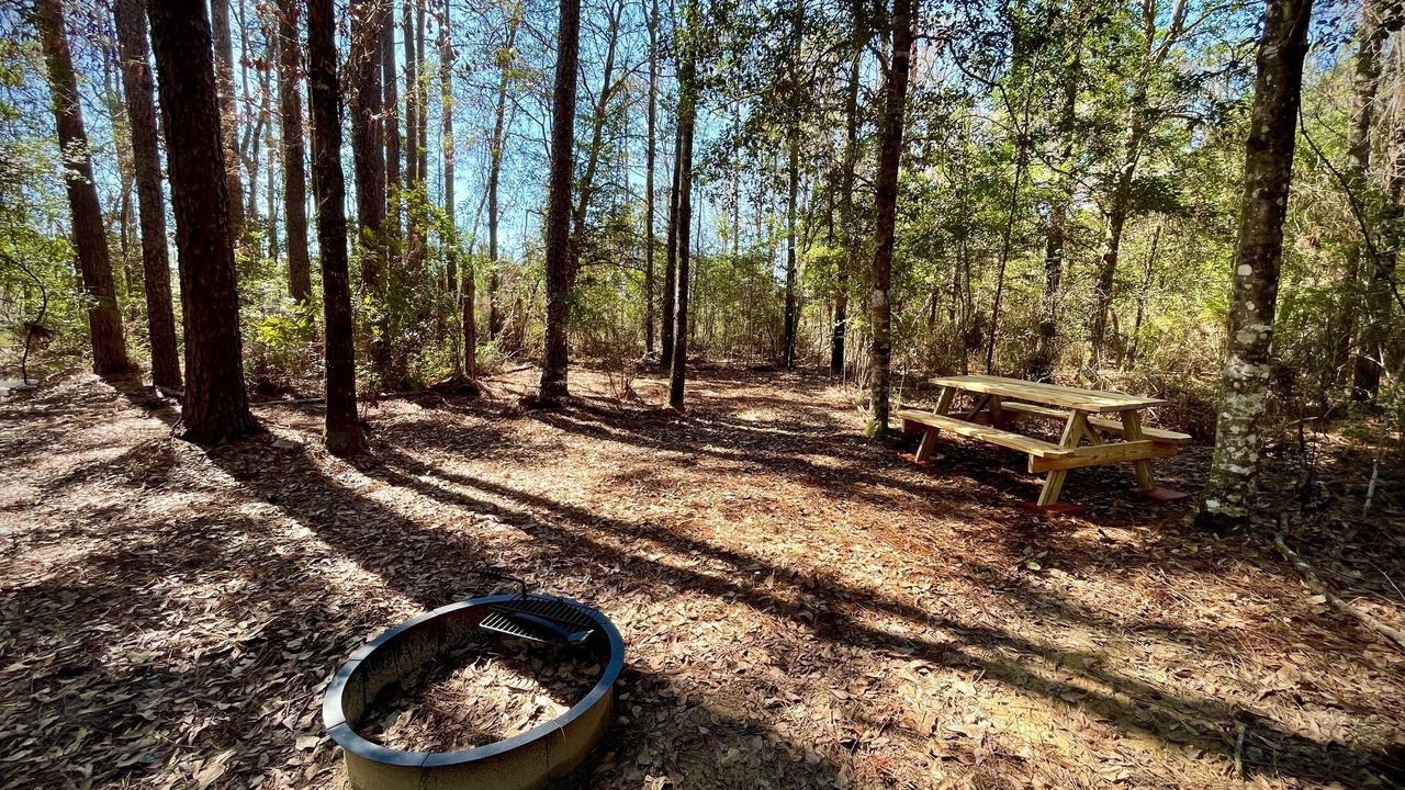 Photo of Others in Florida Panhandle