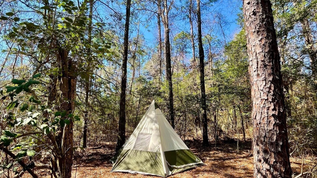 Photo of Others in Florida Panhandle