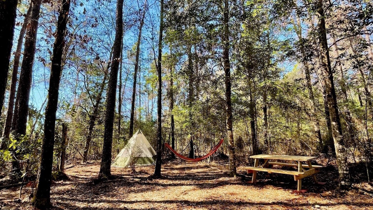 Photo of Others in Florida Panhandle