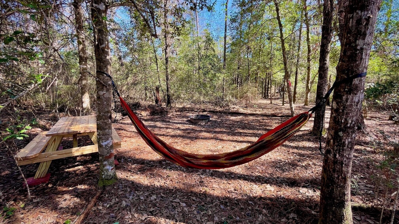 Photo of Others in Florida Panhandle