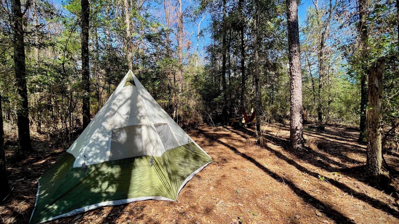 Photo of Others in Florida Panhandle