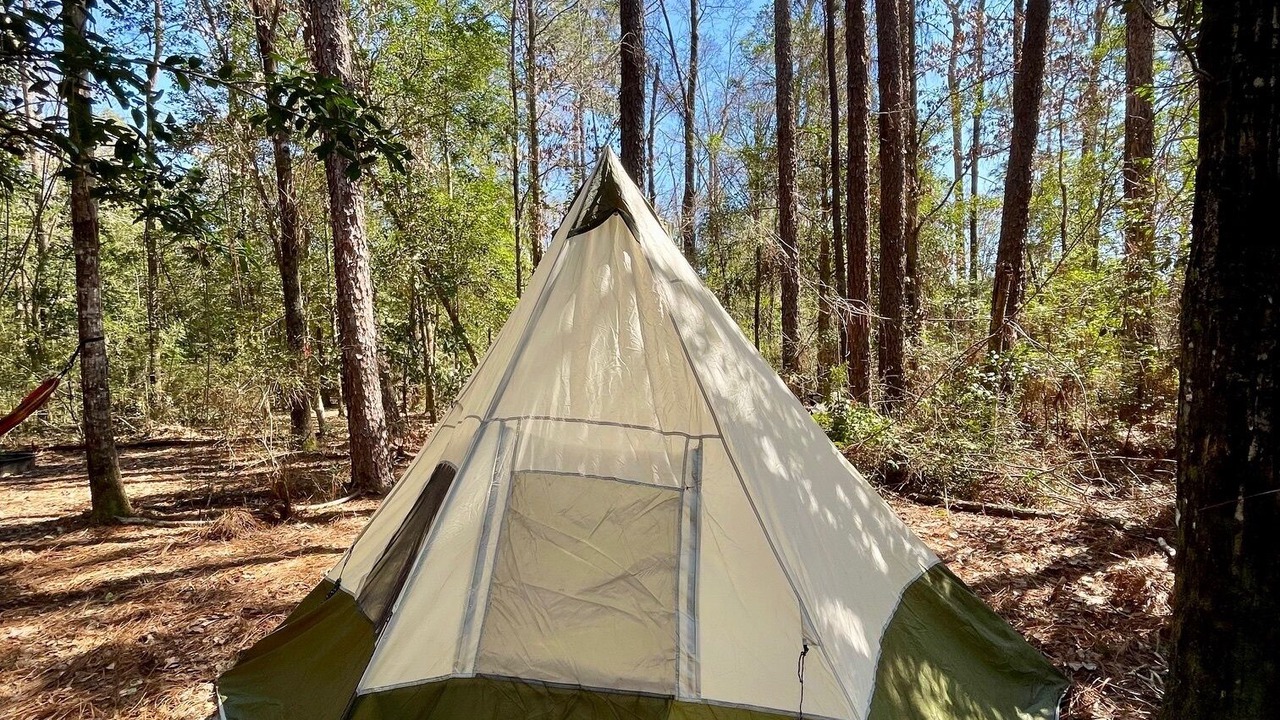 Photo of Others in Florida Panhandle