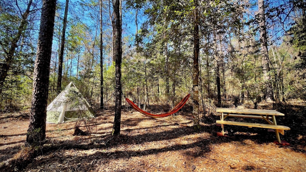 Photo of Others in Florida Panhandle