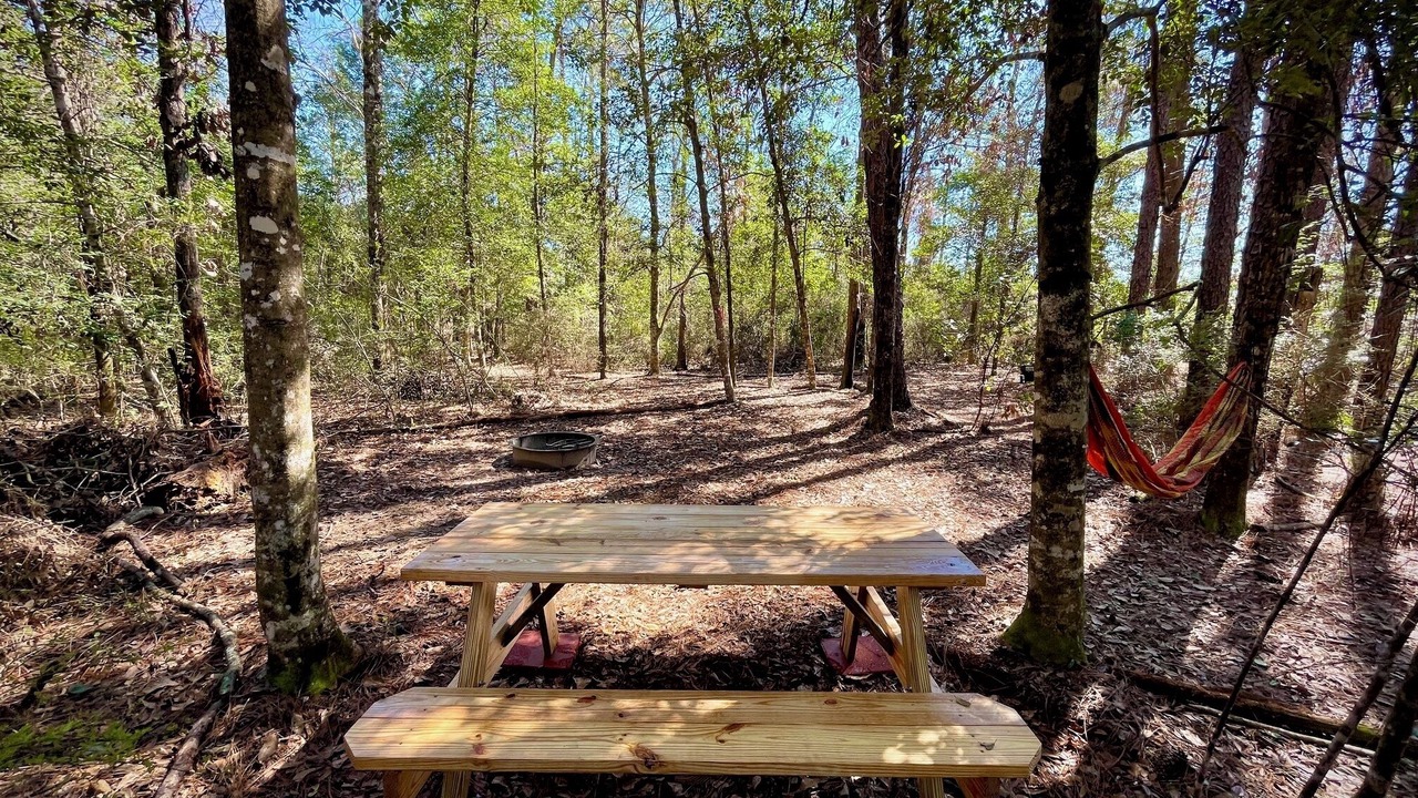 Photo of Others in Florida Panhandle