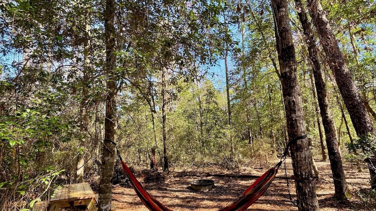 Photo of Others in Florida Panhandle