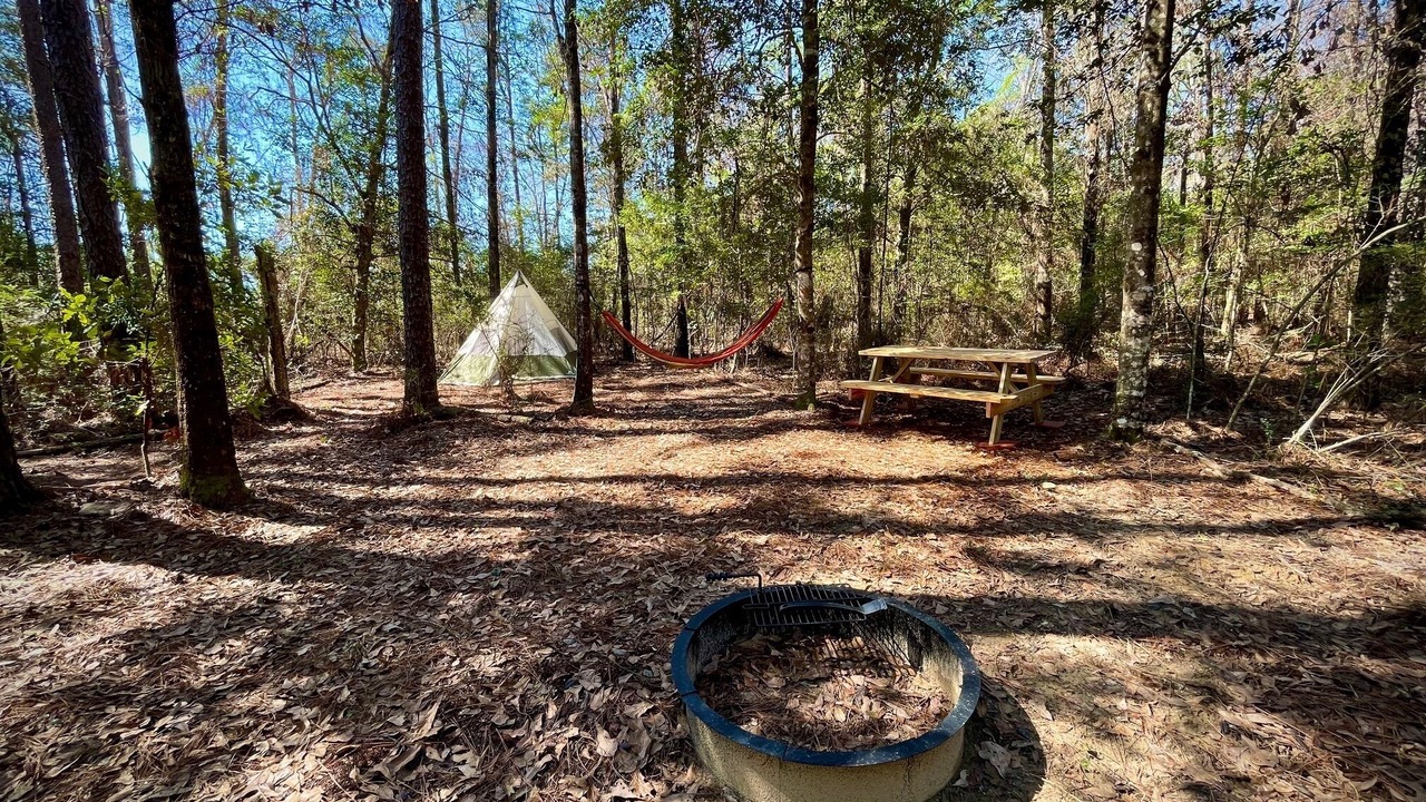 Photo of Others in Florida Panhandle