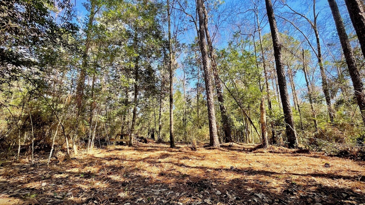 Photo of Others in Florida Panhandle