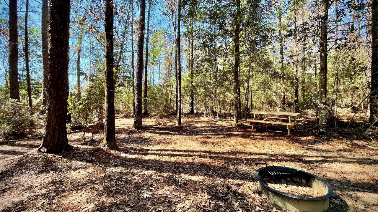 Photo of Others in Florida Panhandle