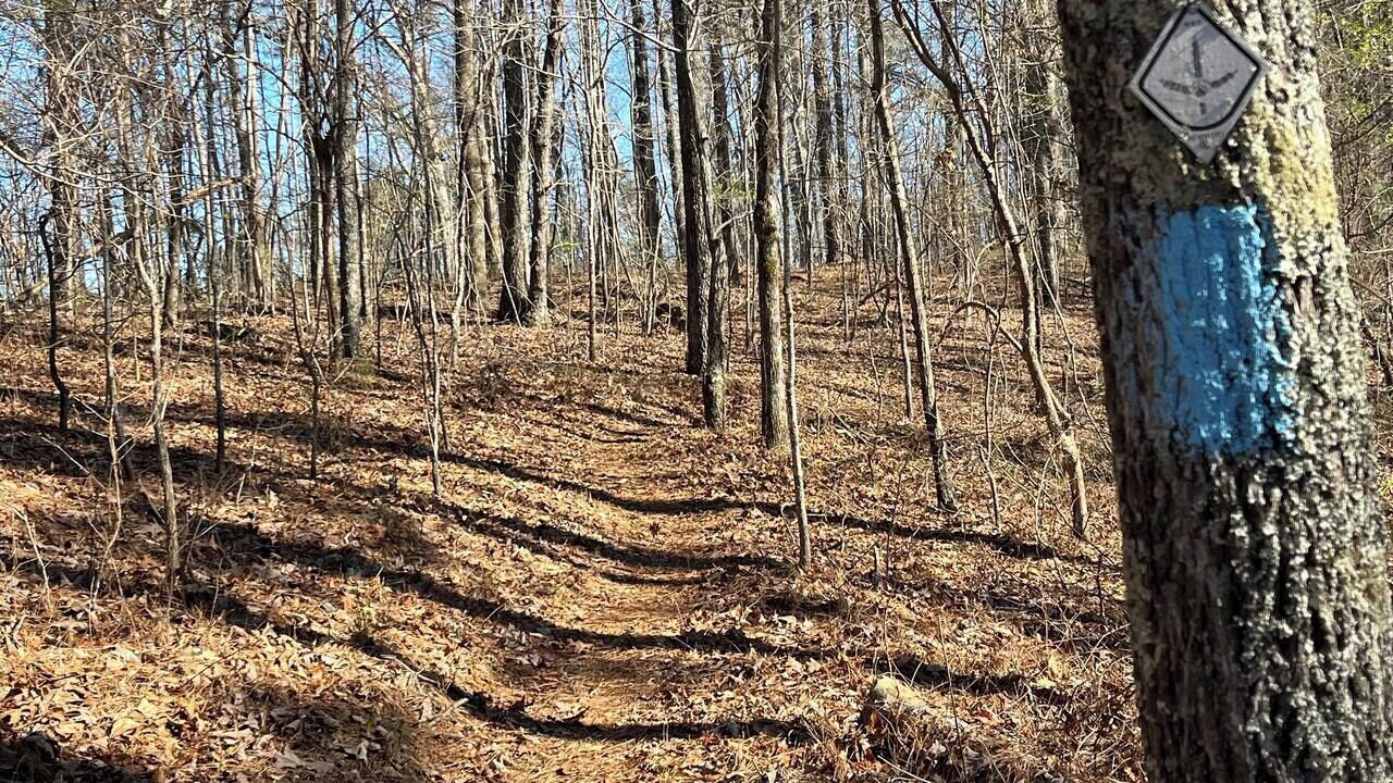 Photo of Others in Talladega