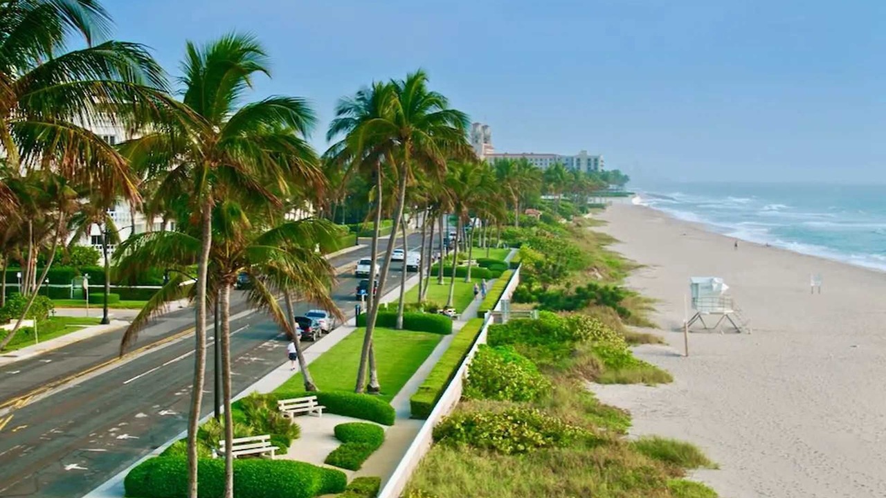 Photo of Others in Palm Beach