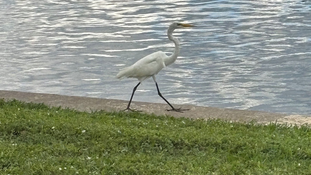 Photo of Others in Hobe Sound