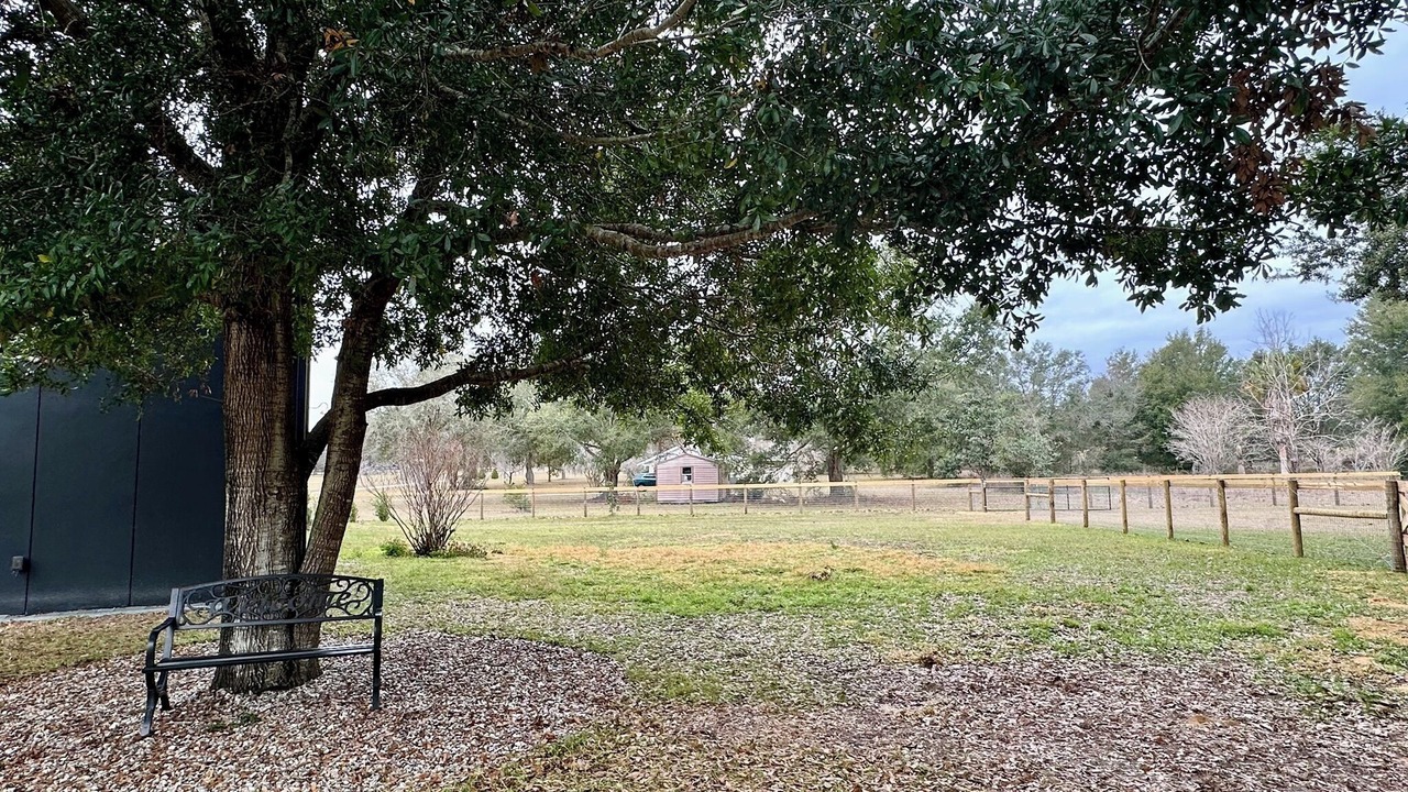 Photo of Others in Clermont