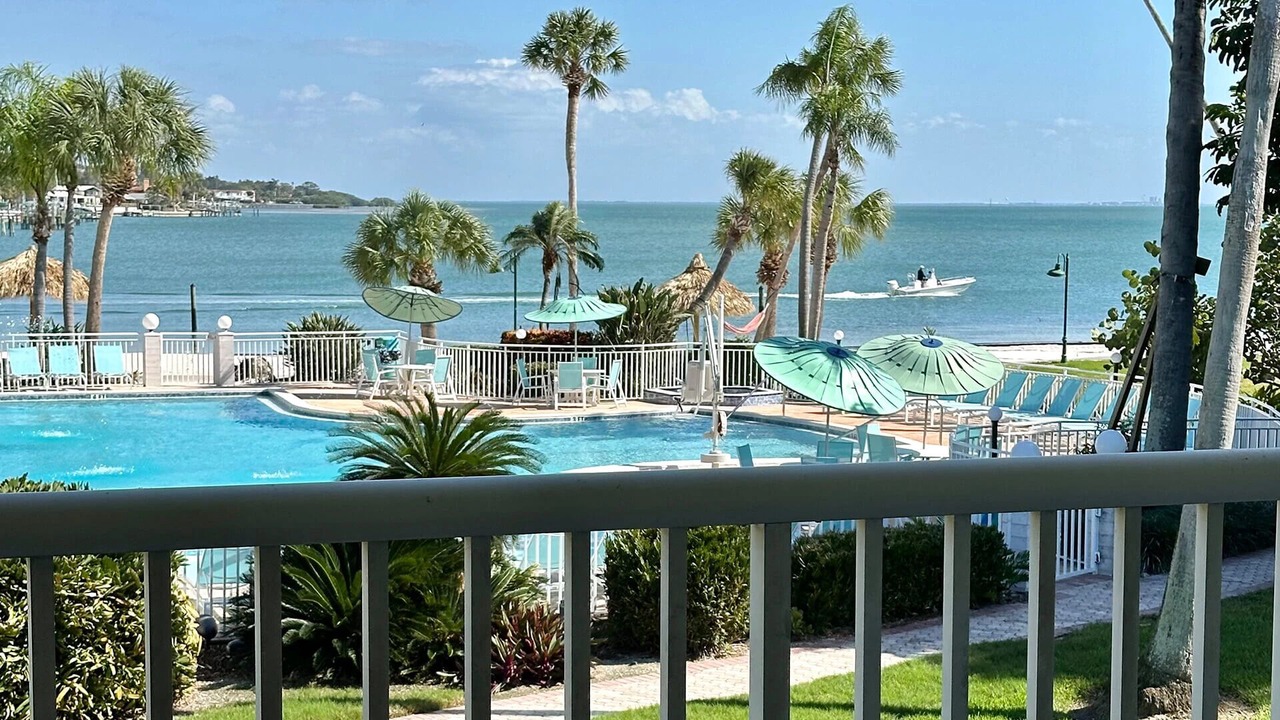 Photo of Outdoor in Pinellas Point
