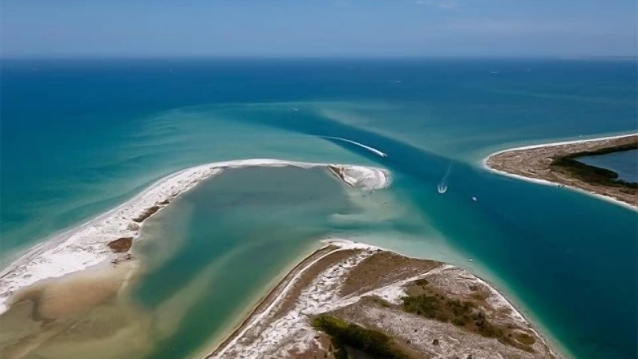 Photo of Others in Pinellas Point