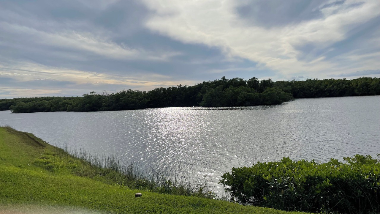 Photo of Others in Stuart