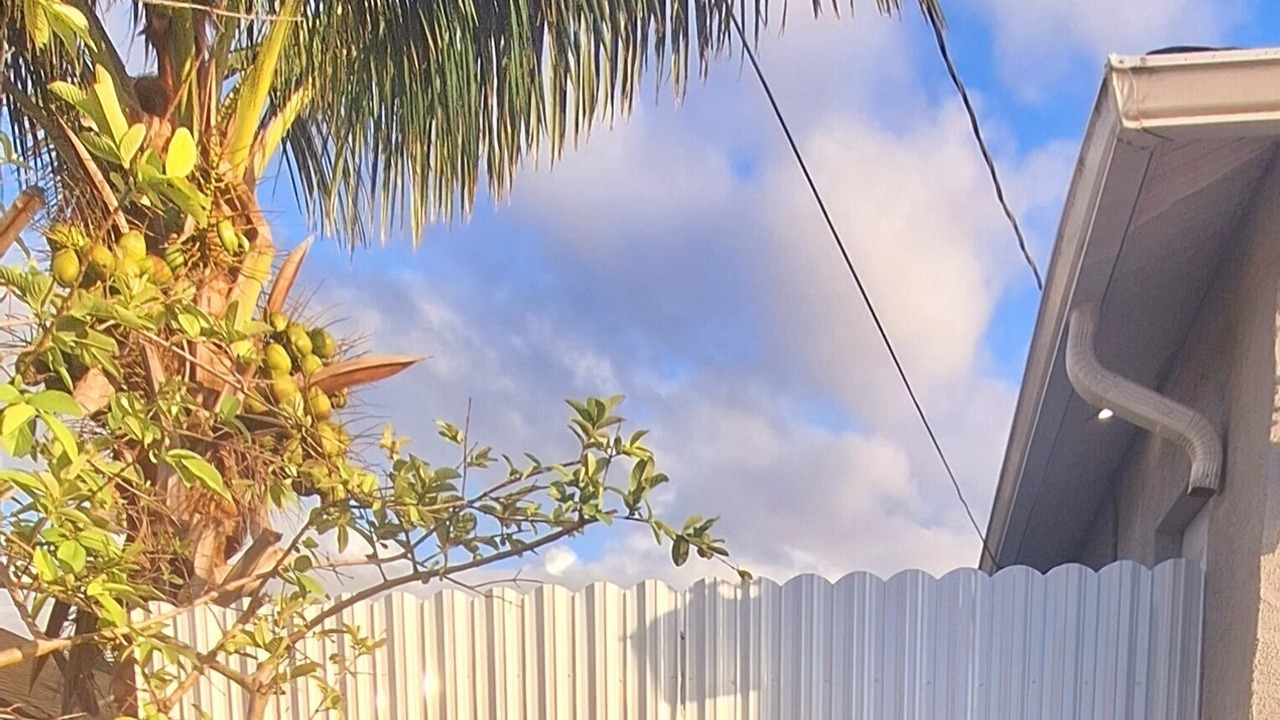 Photo of Others in Sunshine