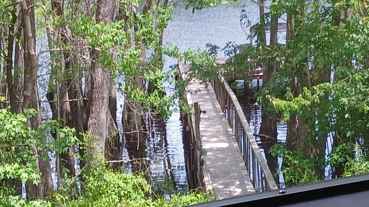 Photo of Others in Thomas Drive