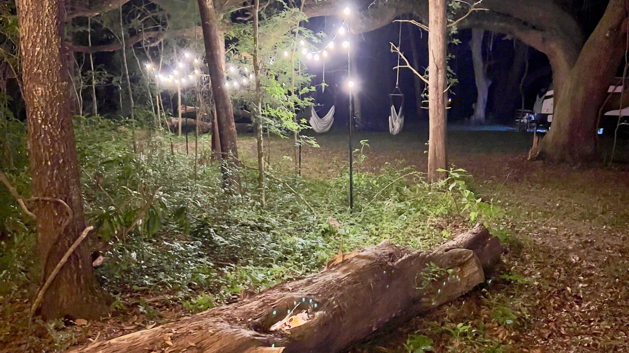 Photo of Outdoor in Gainesville