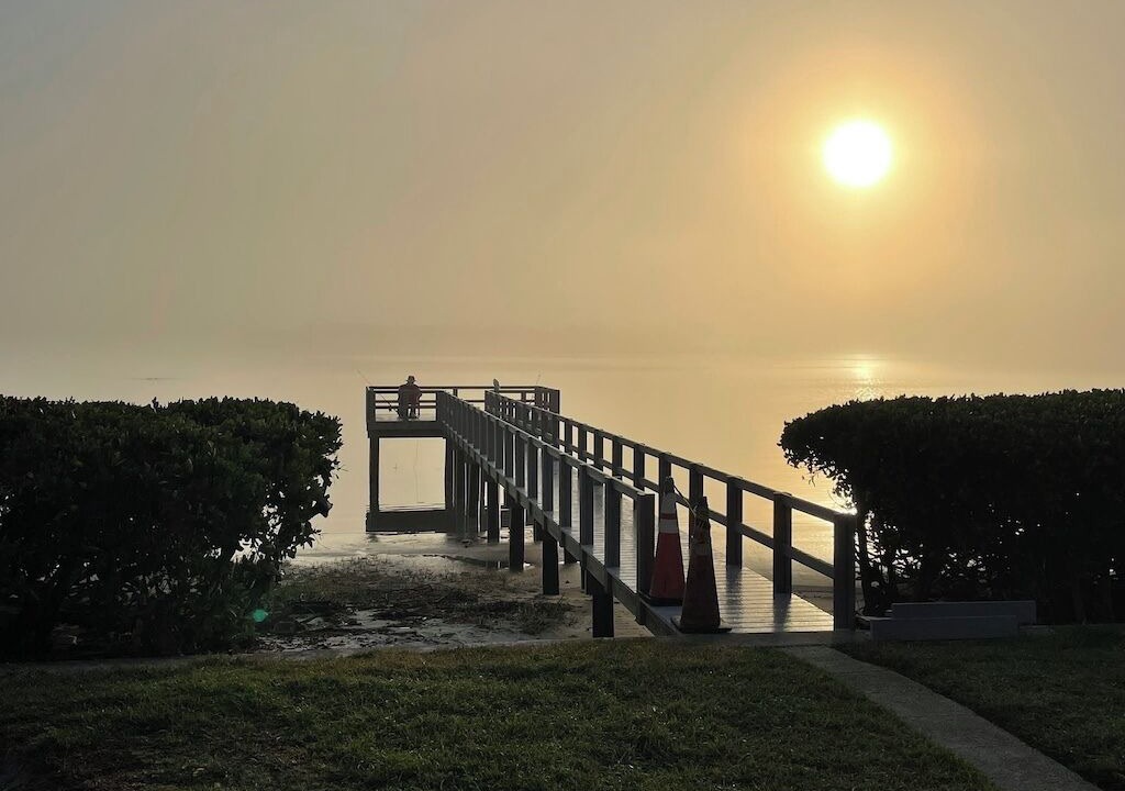 Photo of Others in Palma del Mar