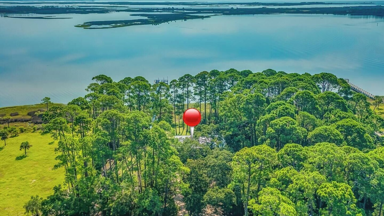 Photo of Outdoor in Panacea