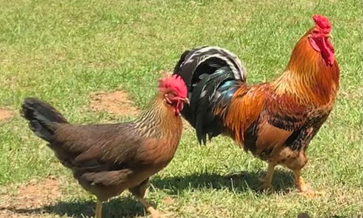 Photo of Others in Graceville